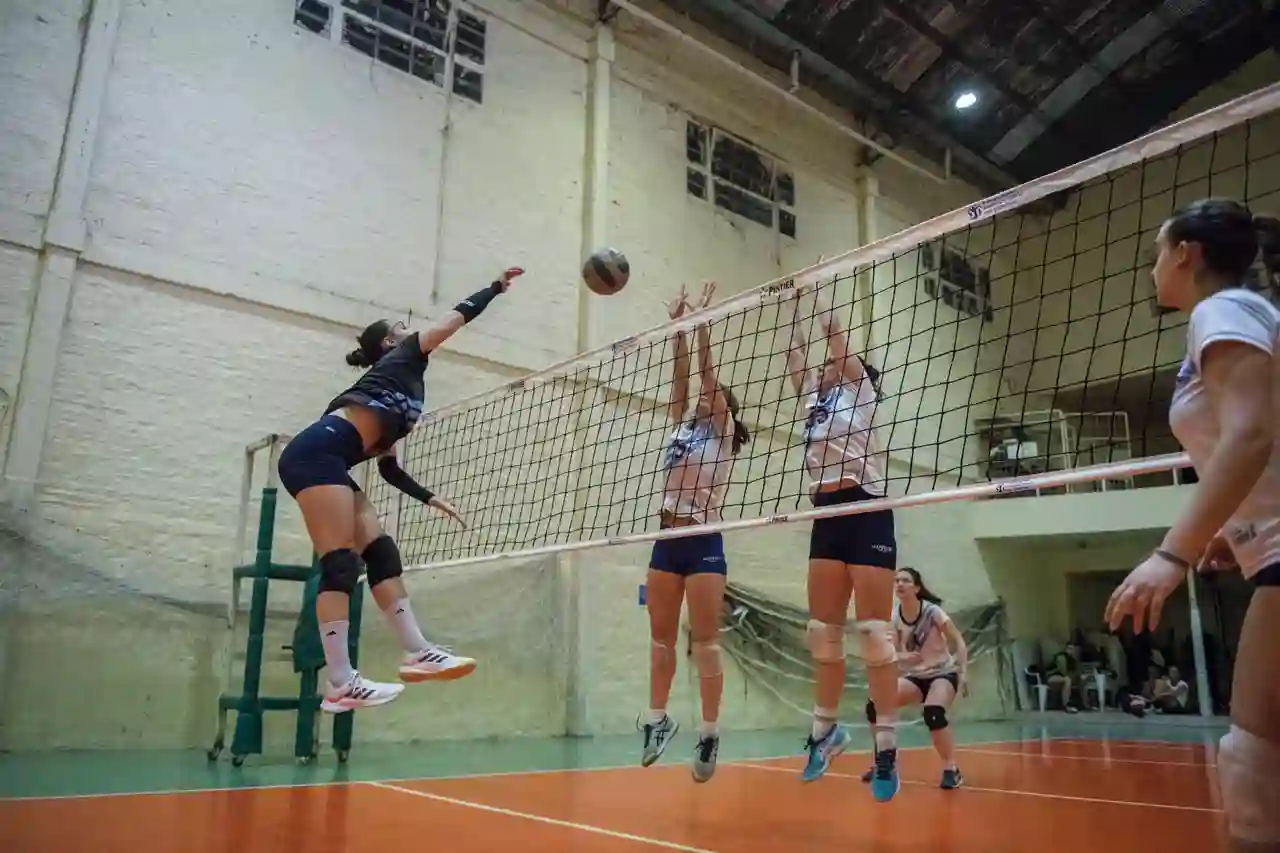 Voleibol