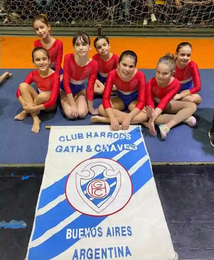 Gimnasia Artística