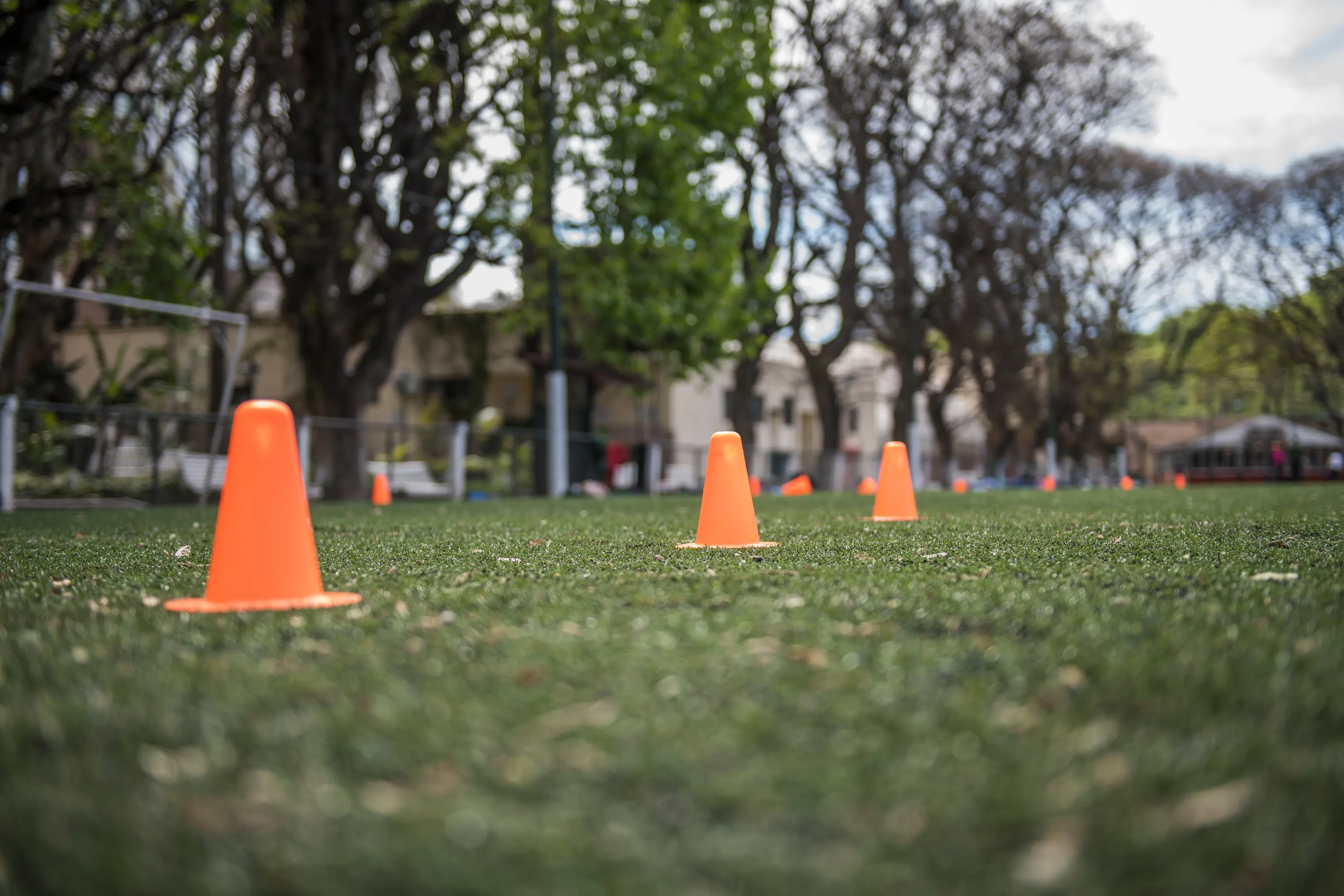 Actividad Deportiva